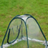 Outdoor Garden Plants And Flowers Antifreeze Greenhouse - Image 4