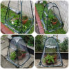 Outdoor Garden Plants And Flowers Antifreeze Greenhouse - Image 3